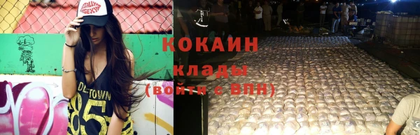 мяу мяу мука Бородино